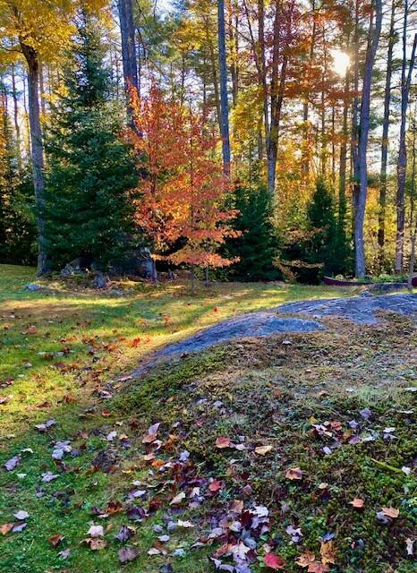 52 Main Road Chesterville, ME 04938 - Photo 87 of 150 tempImagePjM9vc