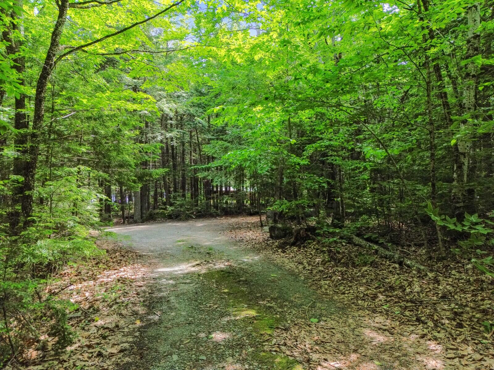 52 Main Road Chesterville, ME 04938 - Photo 92 of 150 11_DJI_0438_mls