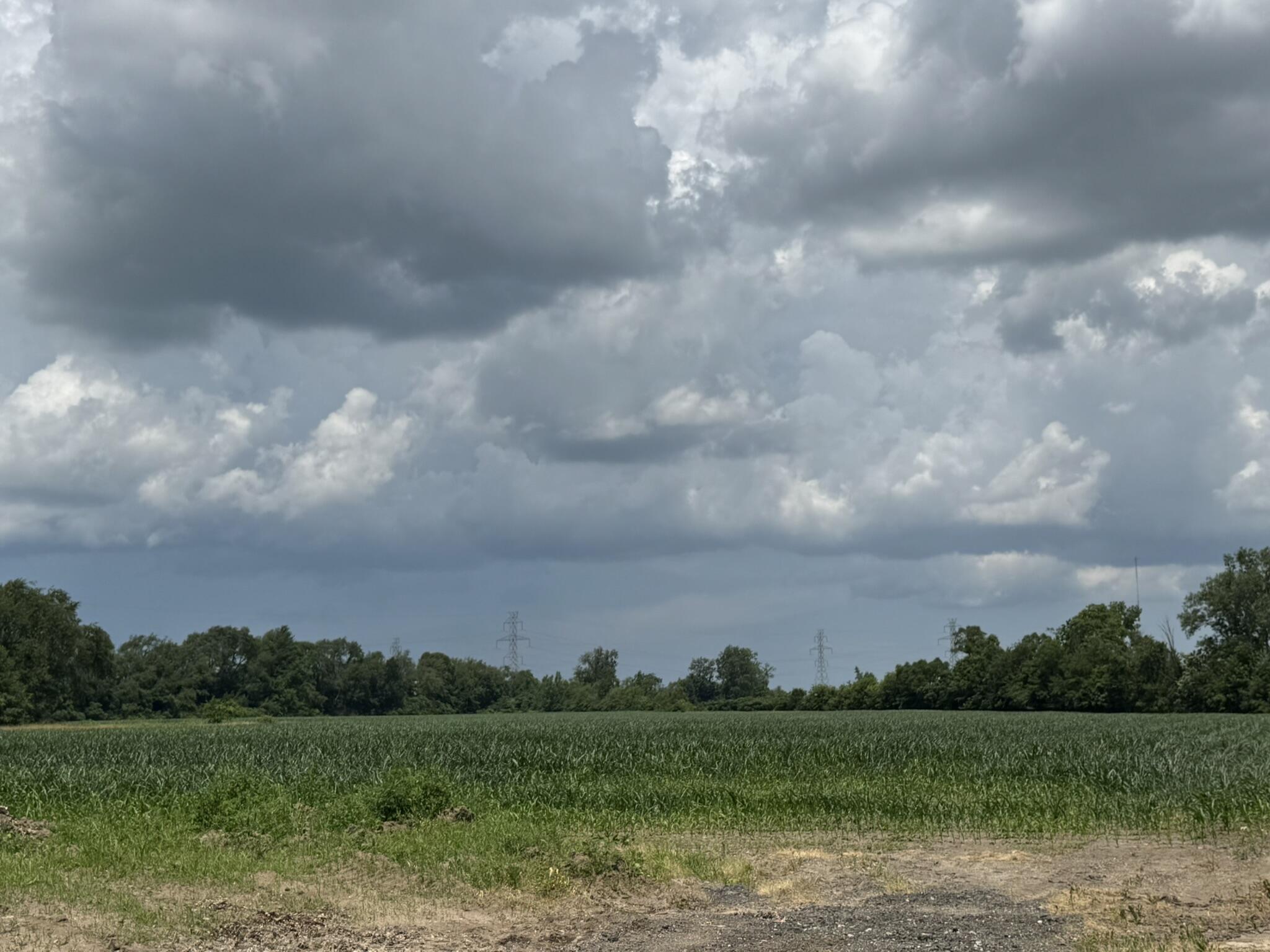 a view of a lake with a big yard