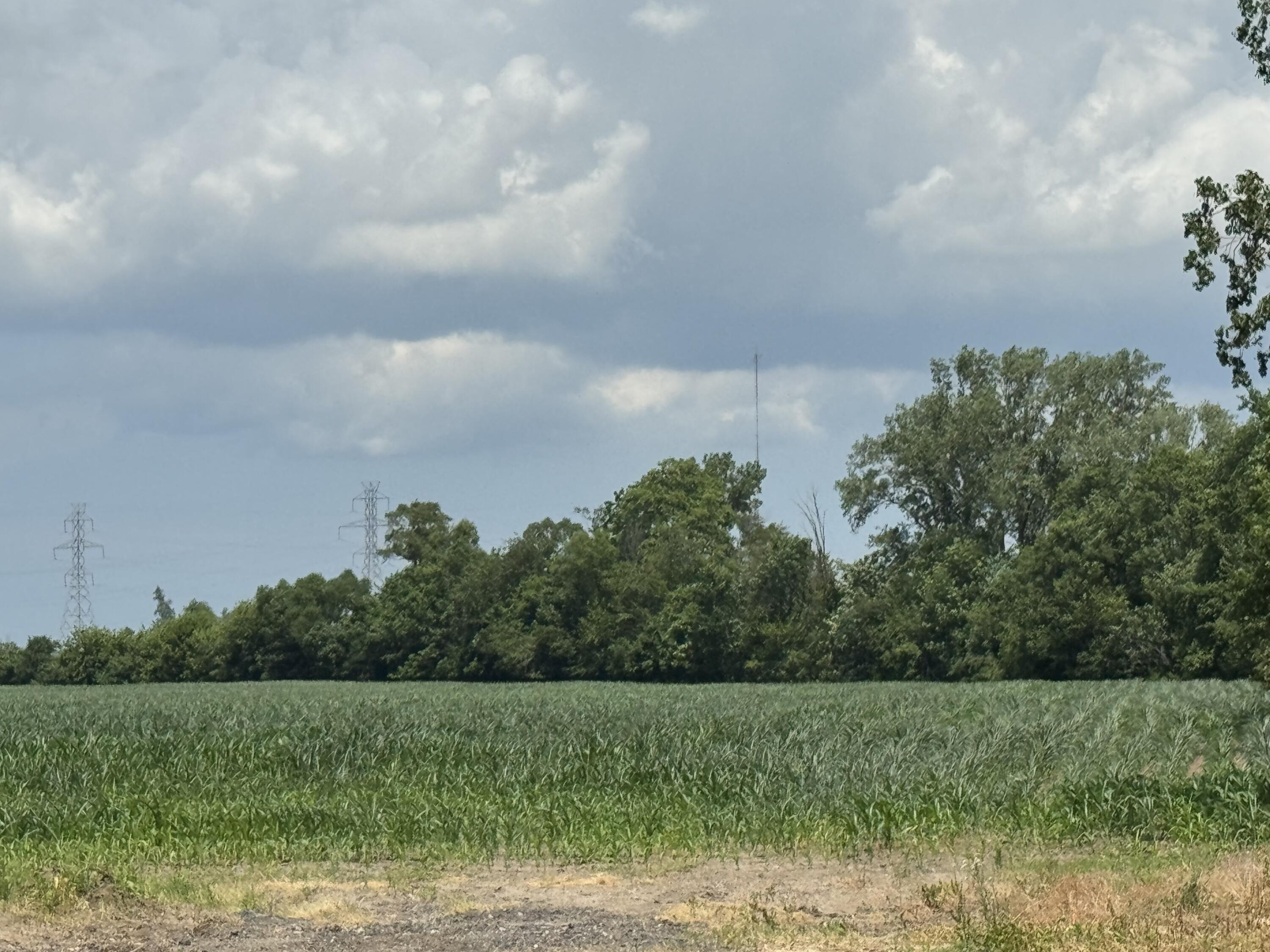 31890 Edison Road New Carlisle, IN 46552 - Photo 3 of 11 a view of a field of grass and trees