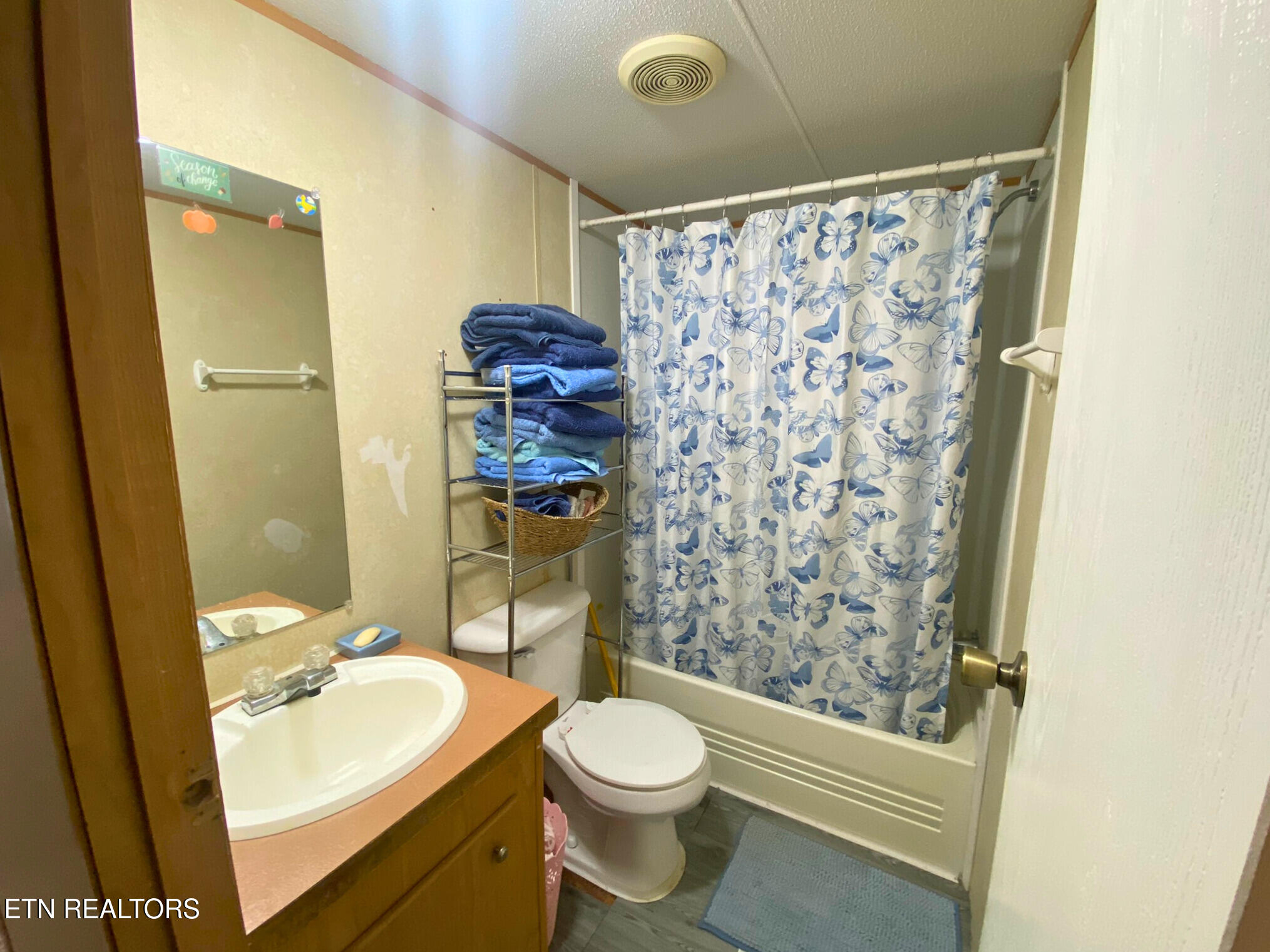 215 Central Avenue Lancing, TN 37770 - Photo 16 of 23 Hall Bathroom