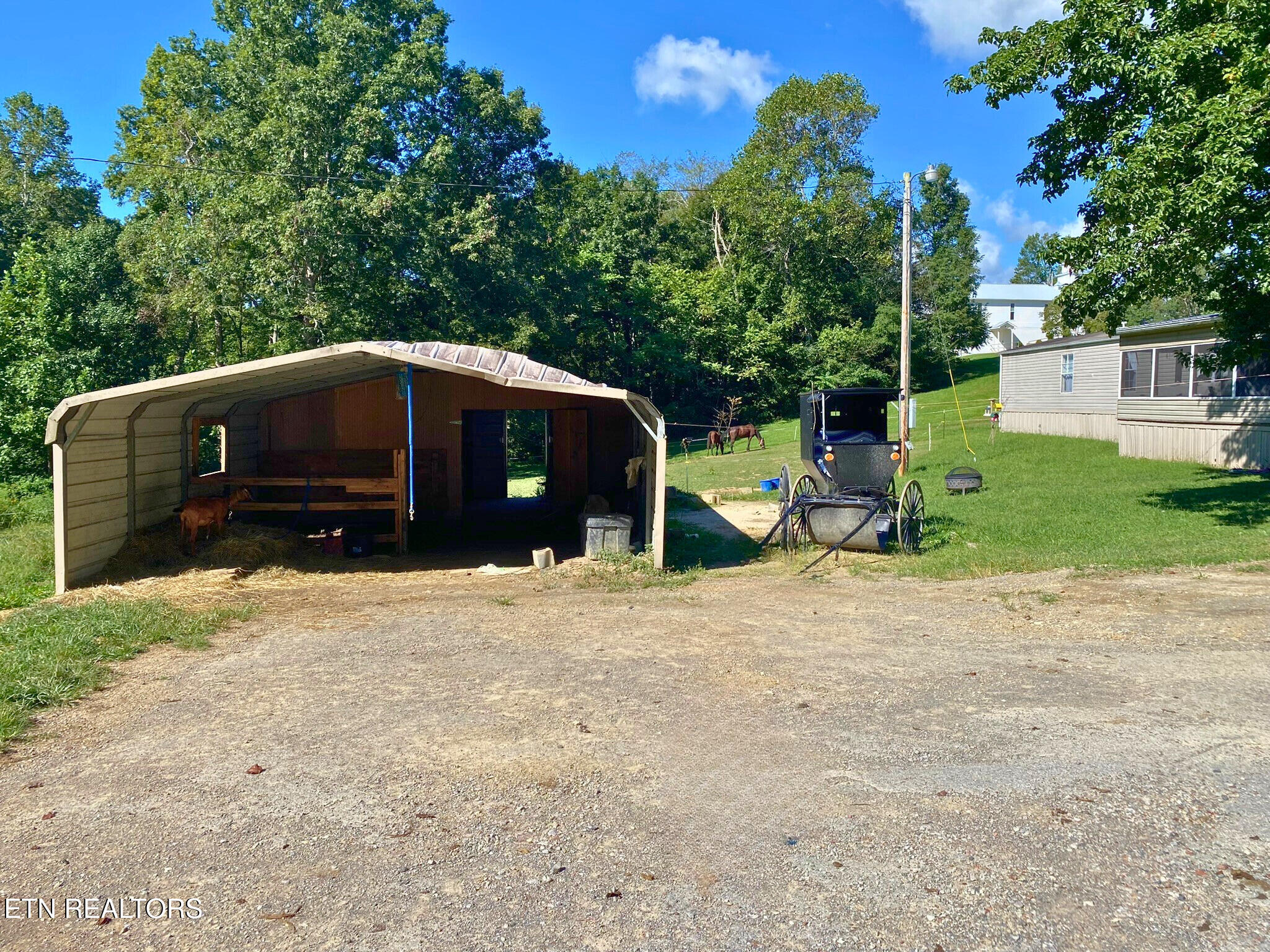 215 Central Avenue Lancing, TN 37770 - Photo 20 of 23 Outbuilding #1