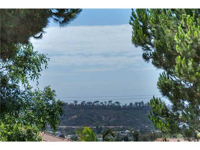 1902 Wandering Road Encinitas, CA 92024 - Photo 22 of 24