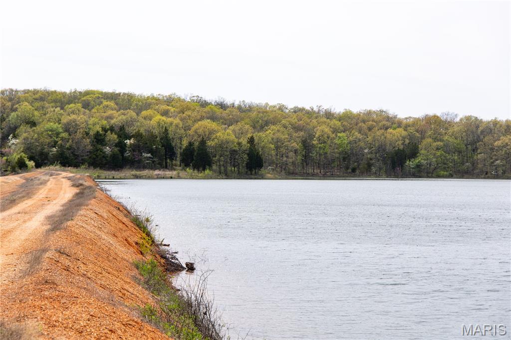 Lot 1 Short Road Blackwell, MO 63626 - Photo 14 of 20