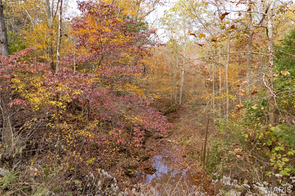 Lot 1 Short Road Blackwell, MO 63626 - Photo 5 of 20