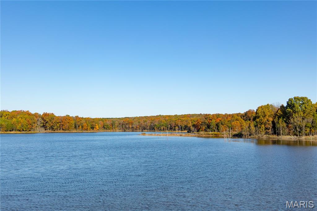 Lot 1 Short Road Blackwell, MO 63626 - Photo 8 of 20