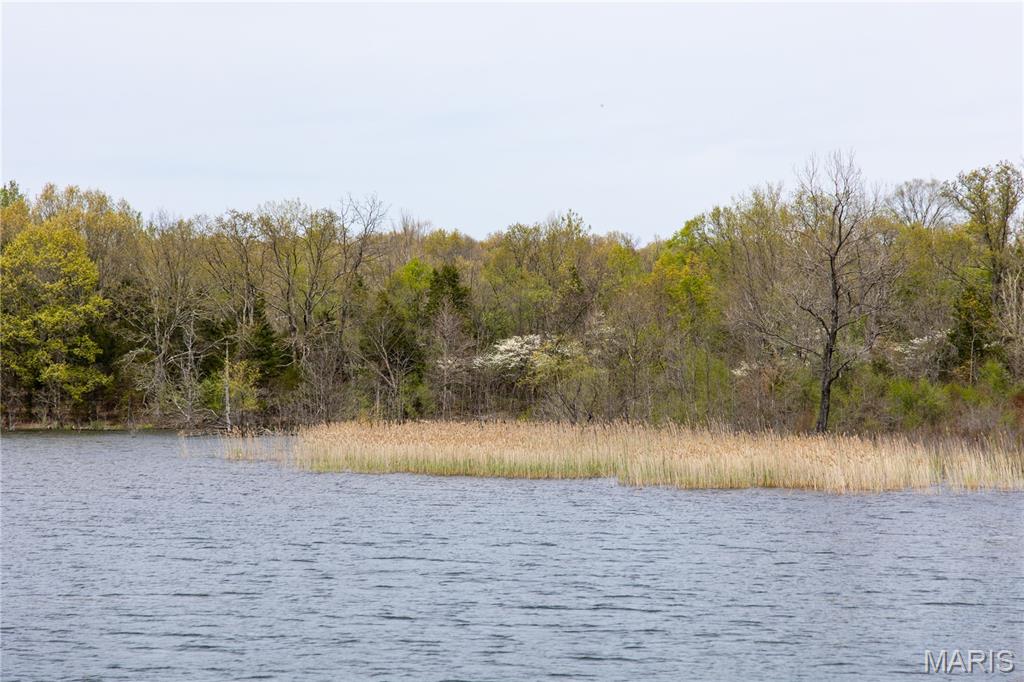 Lot 1 Short Road Blackwell, MO 63626 - Photo 9 of 20