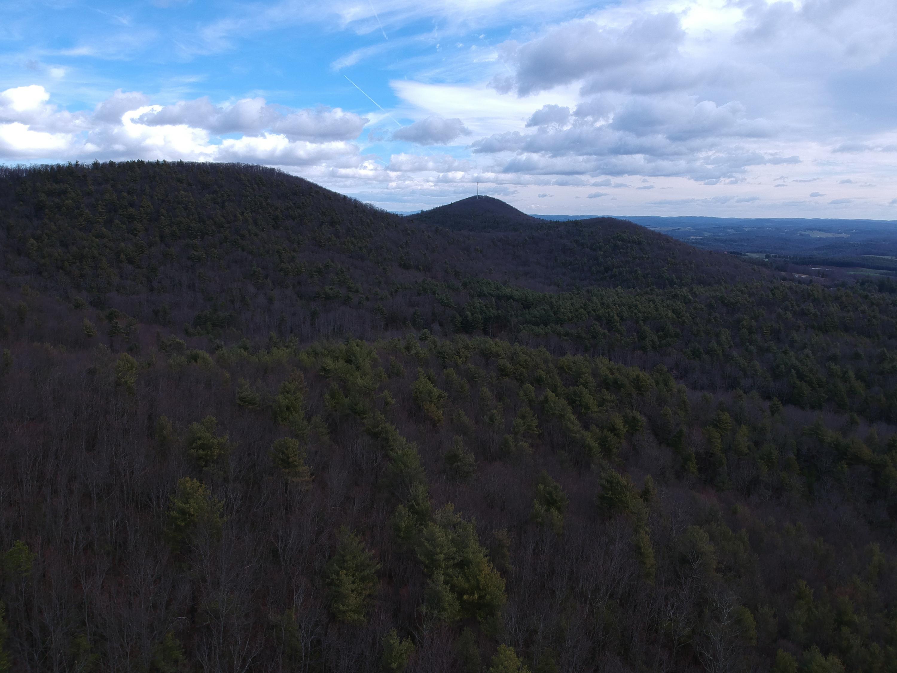 0 Huckleberry Road Northwest Floyd, VA 24091 - Photo 2 of 16