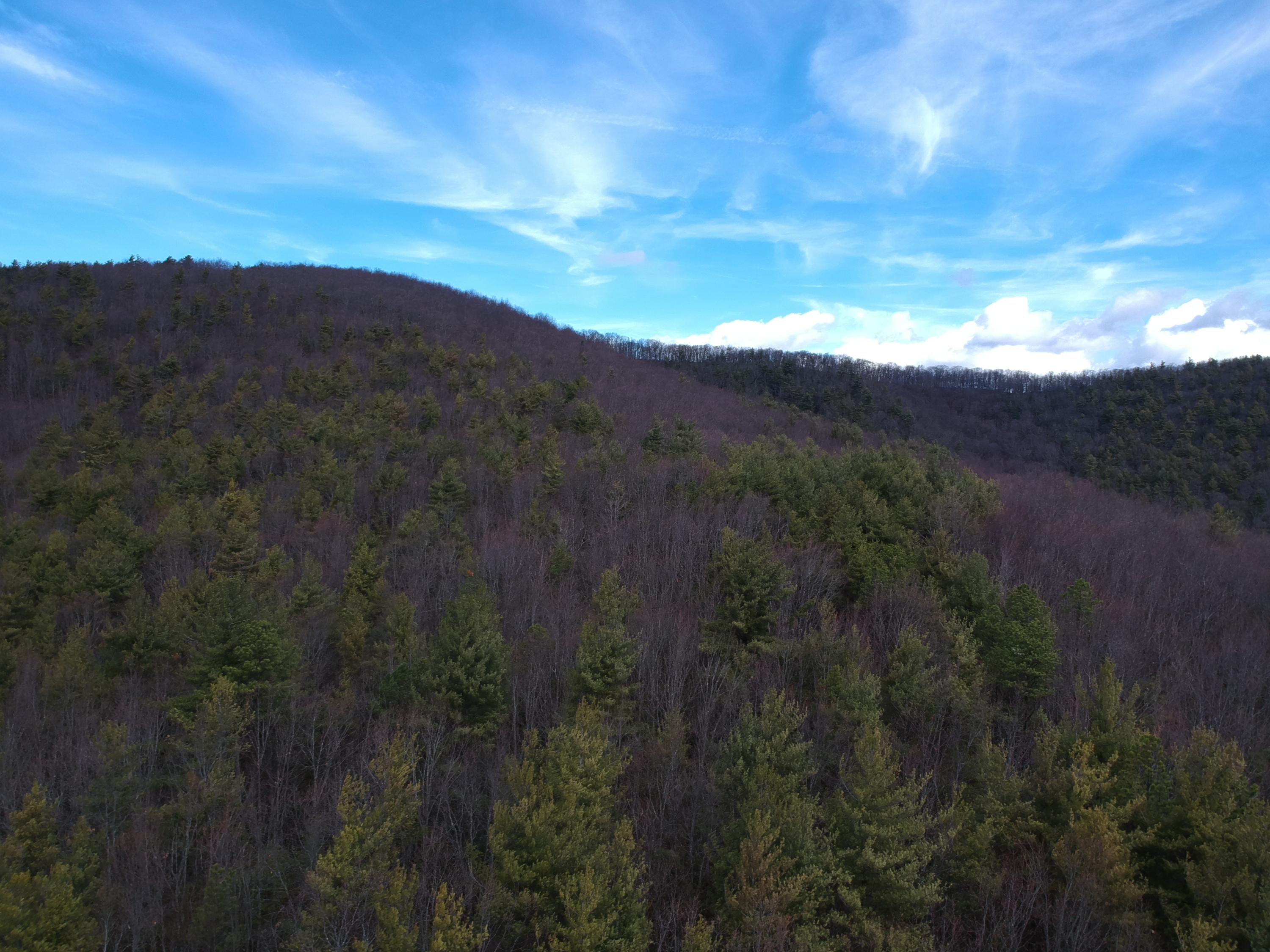 0 Huckleberry Road Northwest Floyd, VA 24091 - Photo 12 of 16 a view of mountain view with mountains in the background