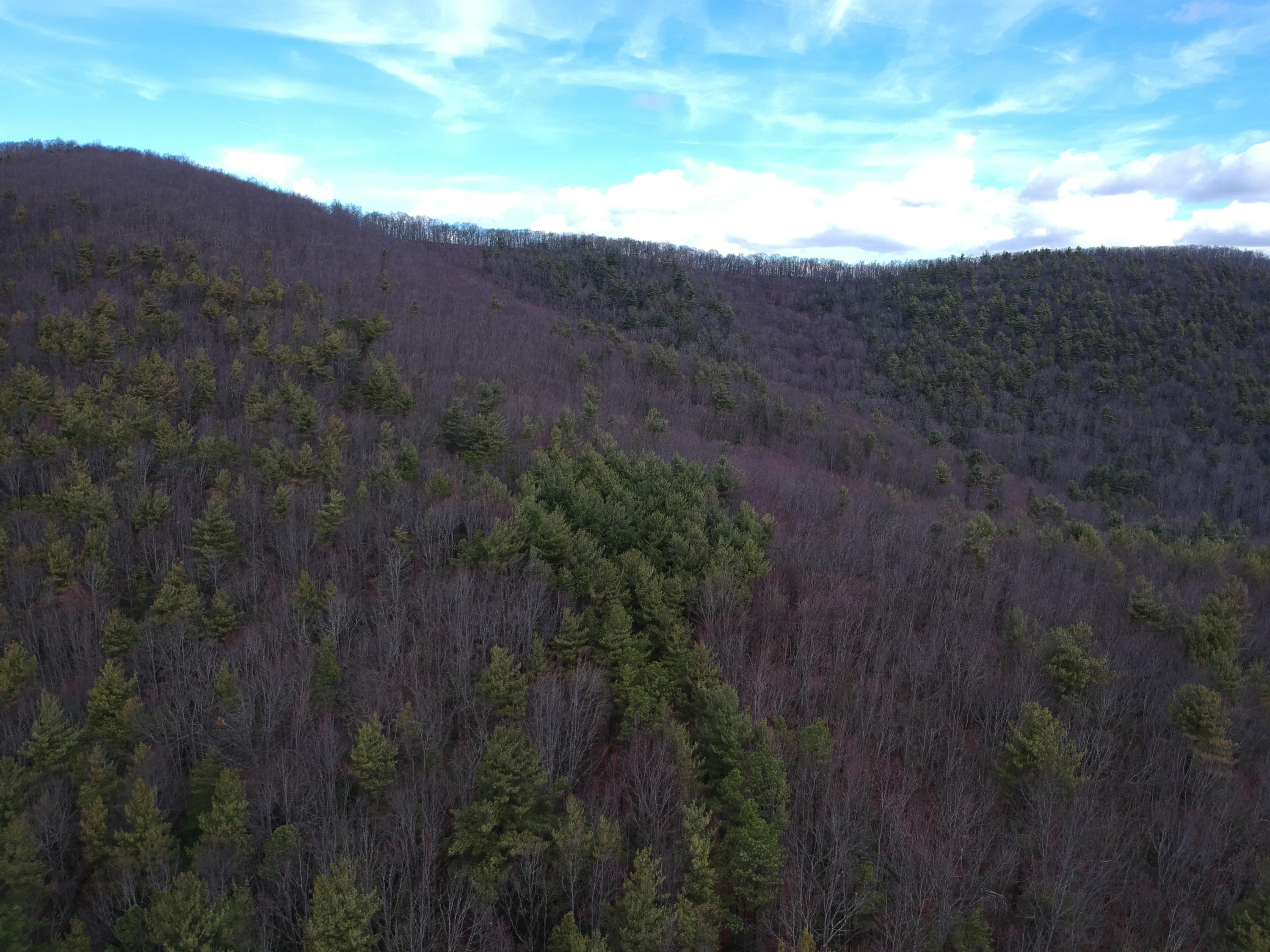 0 Huckleberry Road Northwest Floyd, VA 24091 - Photo 3 of 16 a view of a dry yard