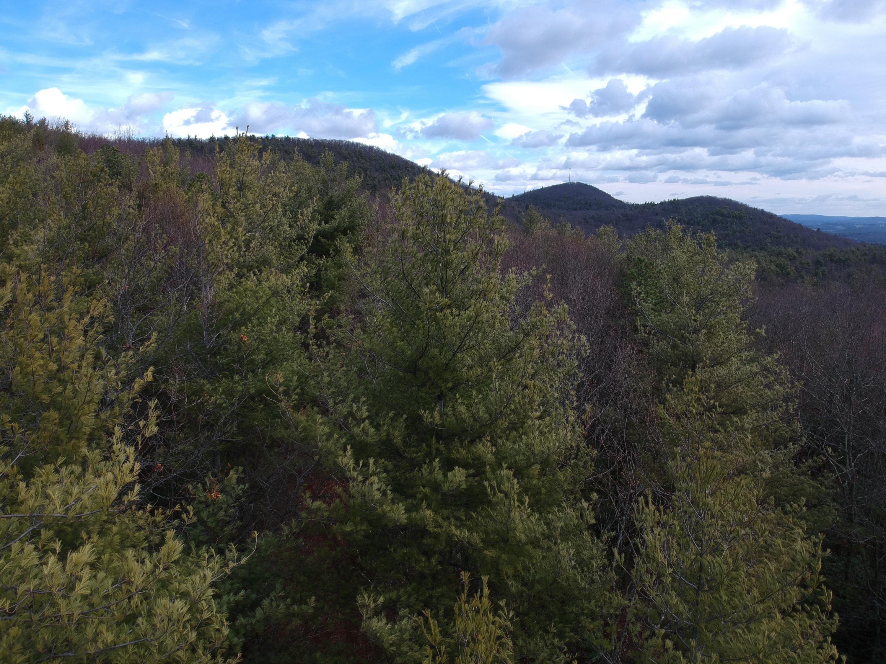 0 Huckleberry Road Northwest Floyd, VA 24091 - Photo 4 of 16 a view of a city and mountains
