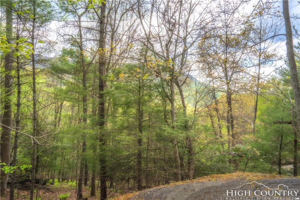 High Country Lansing, NC 28643 - Photo 3 of 4