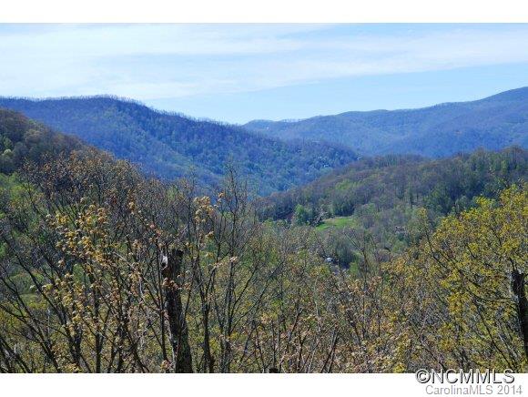 720 Robin Roost Road Maggie Valley, NC 28751 - Photo 19 of 24 Gallery Image 19