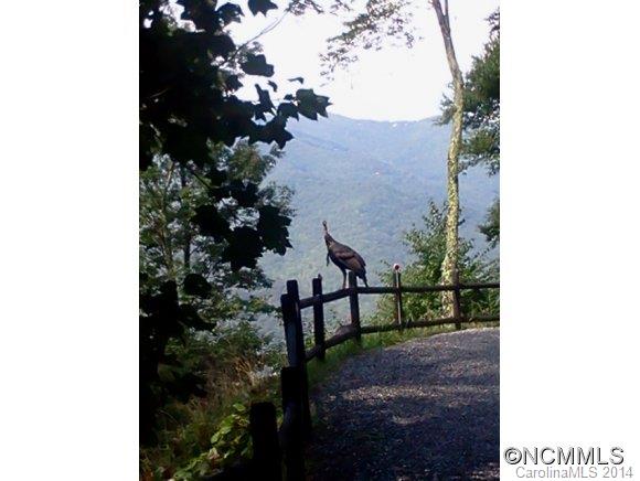 720 Robin Roost Road Maggie Valley, NC 28751 - Photo 24 of 24 Gallery Image 24