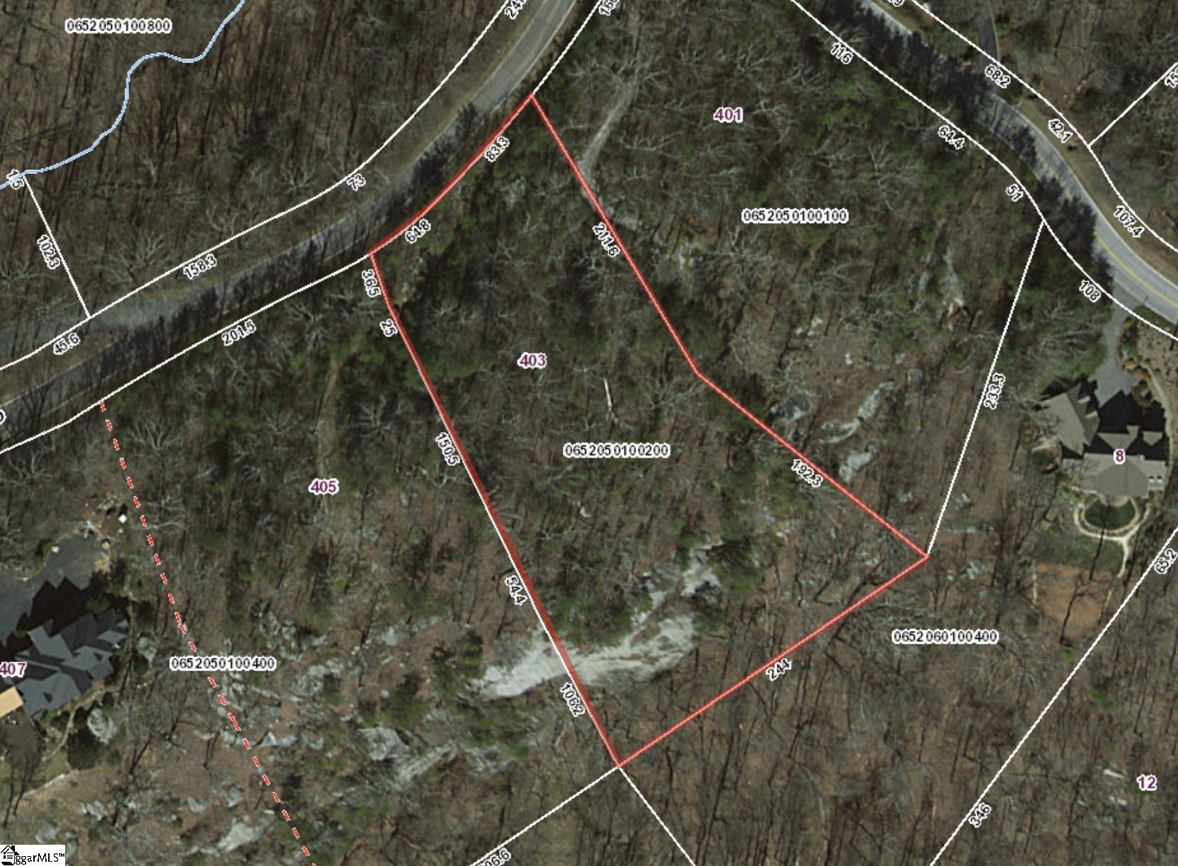 403 Stony Road Landrum, SC 29356 - Photo 9 of 9