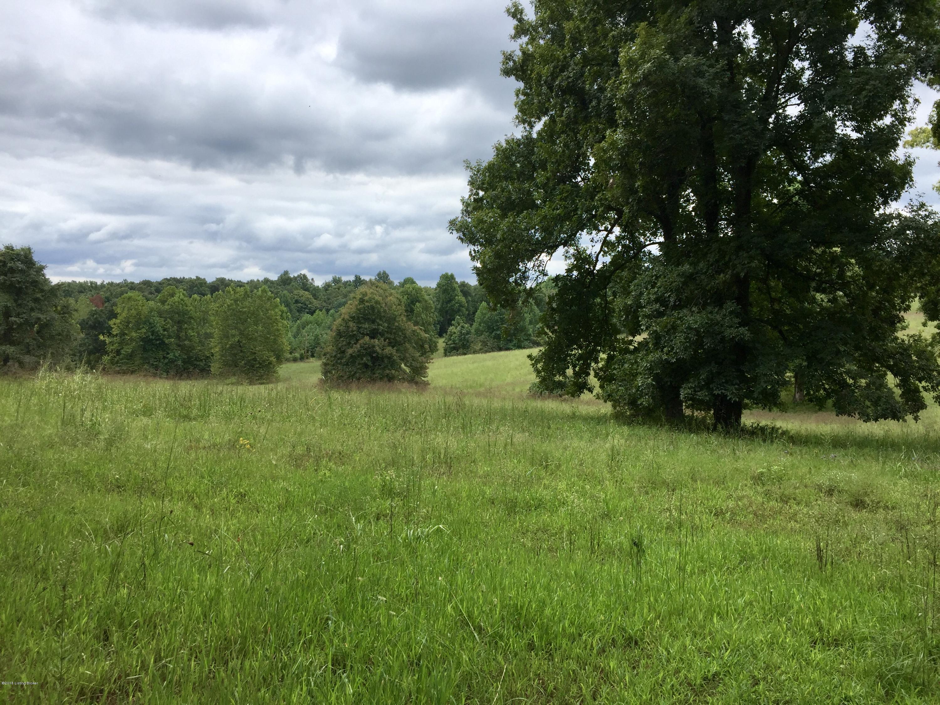 617 North Hopewell Church Road Fordsville, KY 42343 - Photo 97 of 116 97