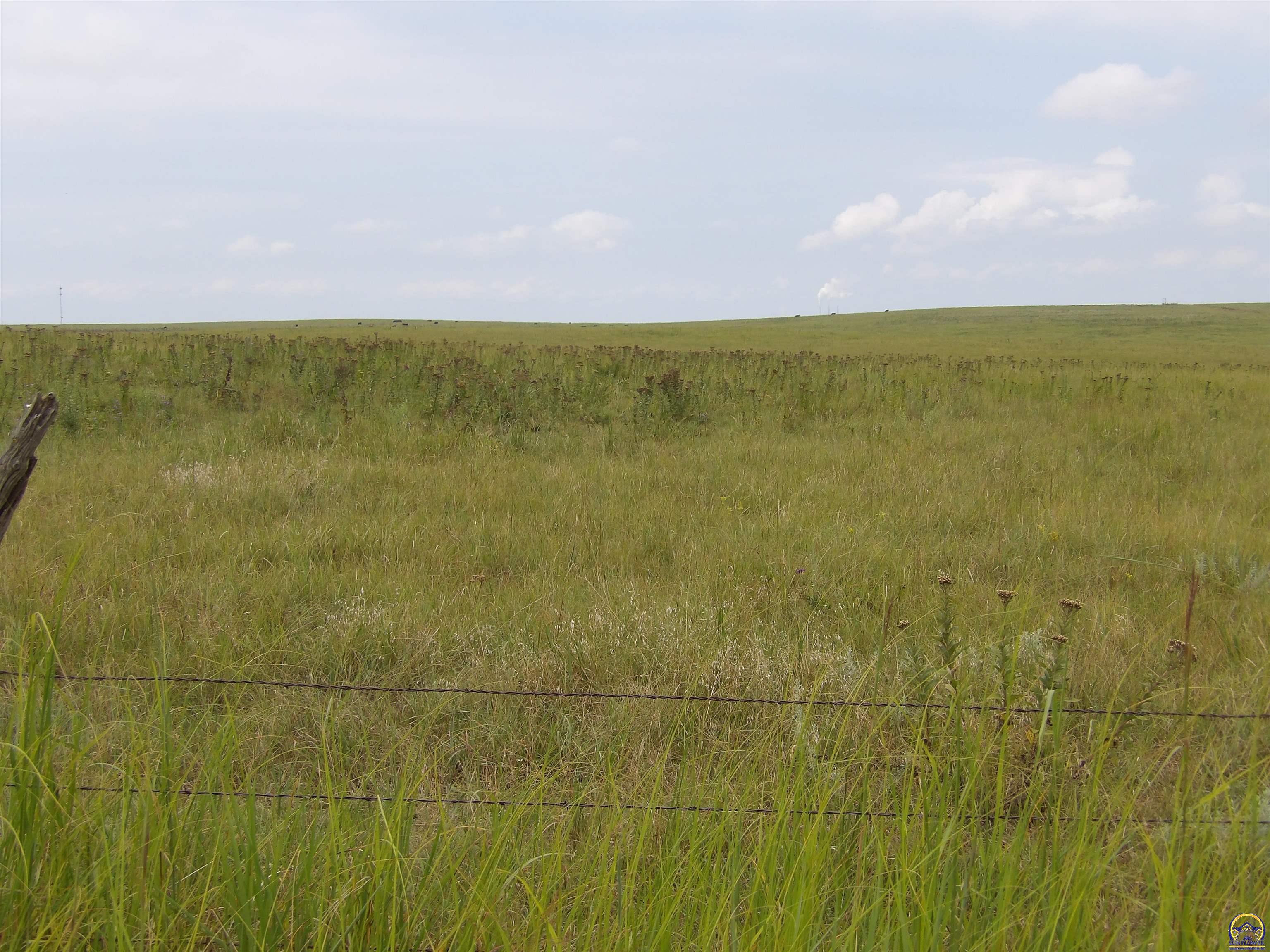0 Dragonfly Road Paxico, KS 66526 - Photo 1 of 1 Gallery Image 1