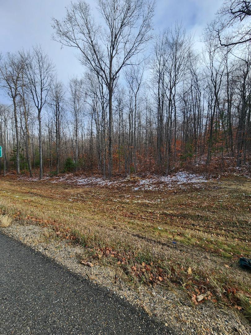 Marlette Road Frederic, MI 49733 - Photo 8 of 25 Gallery Image 8