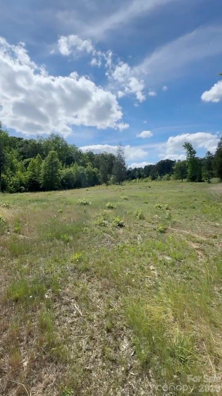 1739 Westbrook Road Edgemoor, SC 29712 - Photo 6 of 48