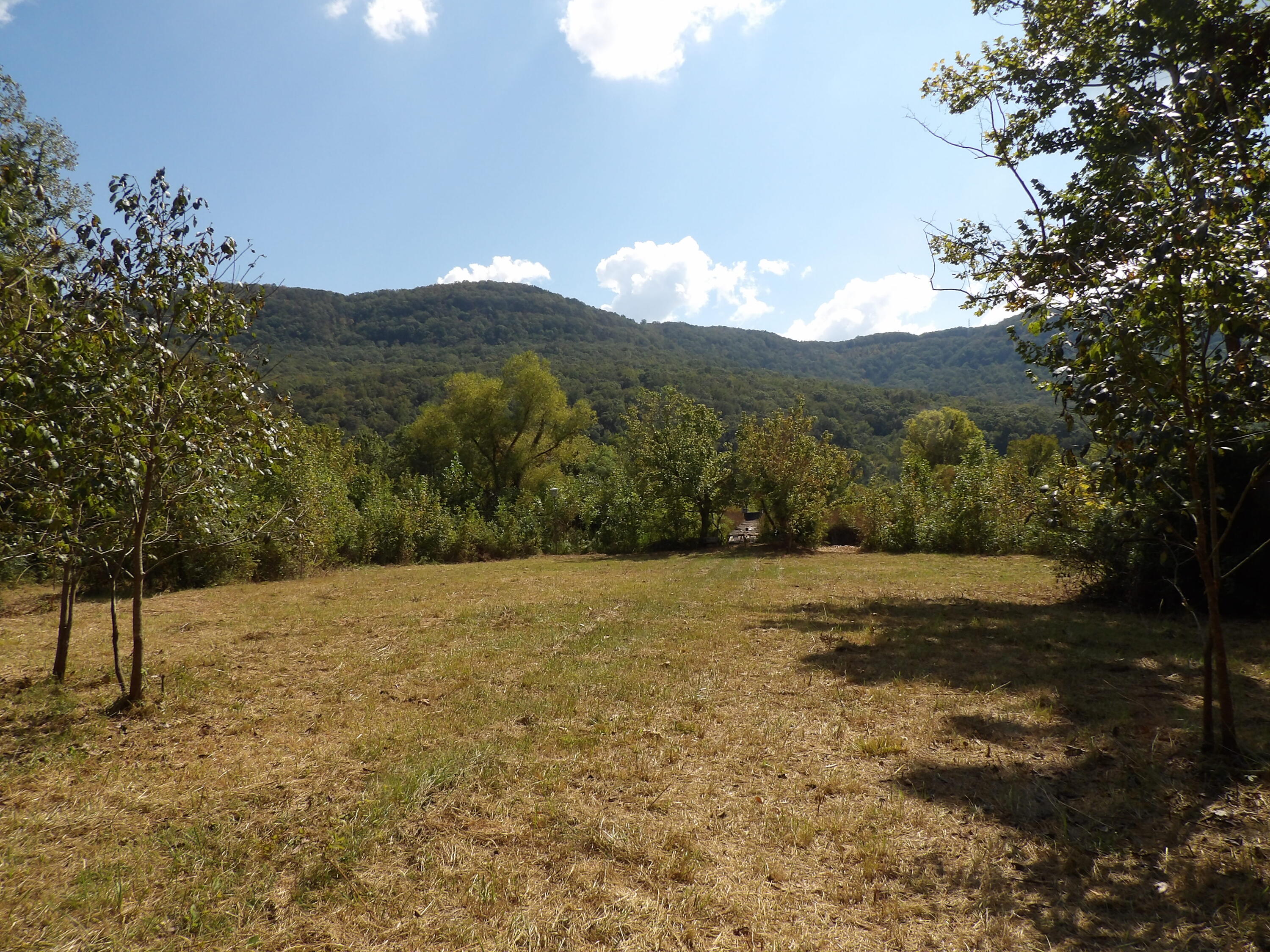 11300 Mullins Cove Road Whitwell, TN 37397 - Photo 8 of 42 100_6062