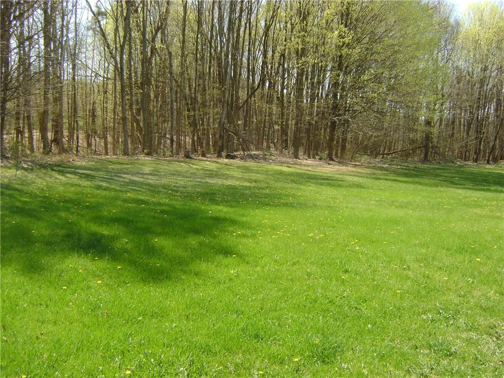3489 East State Road Jamestown, PA 16134 - Photo 15 of 15 a view of outdoor space with garden and trees
