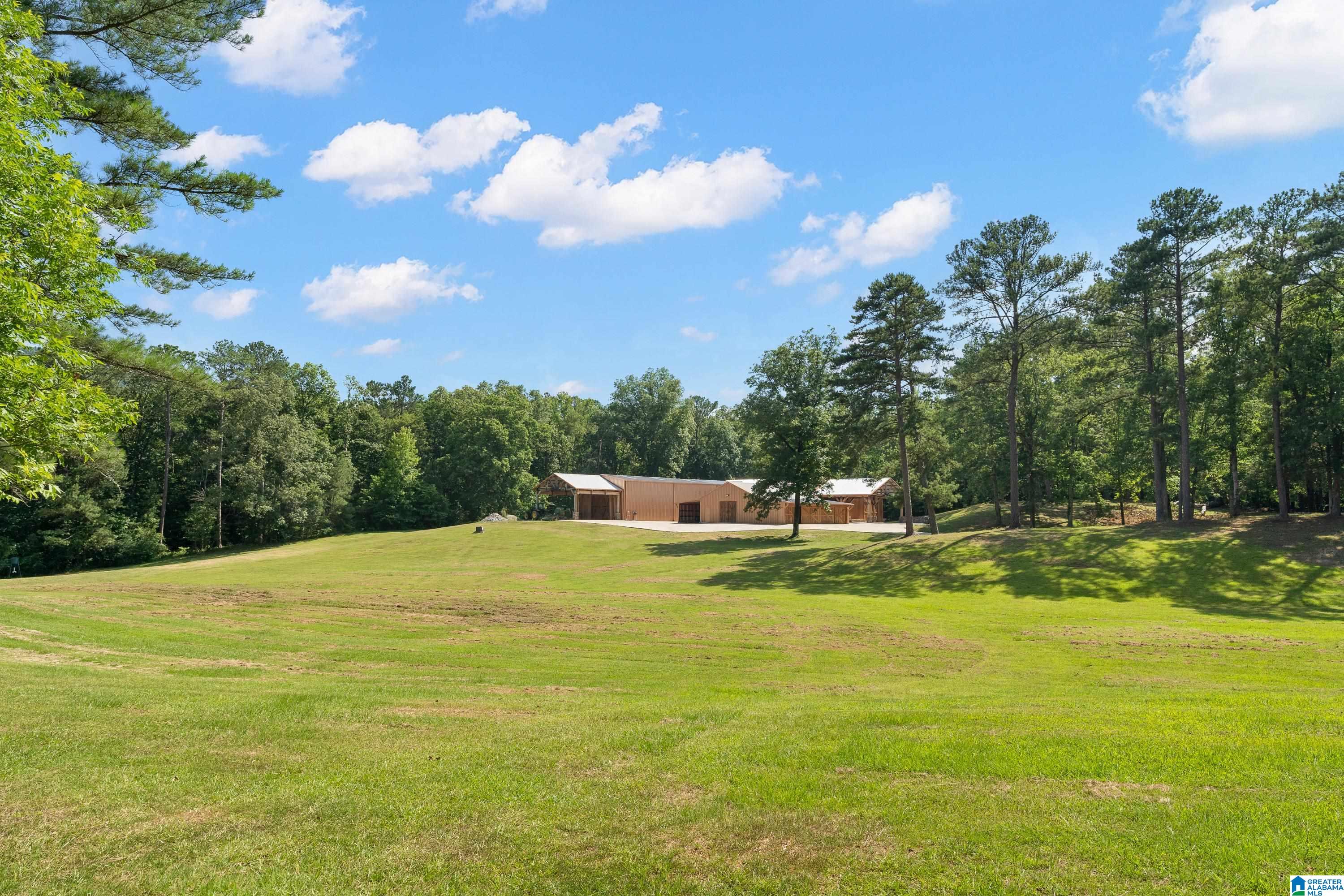 9314 Bear Creek Road Sterrett, AL 35147 - Photo 86 of 100