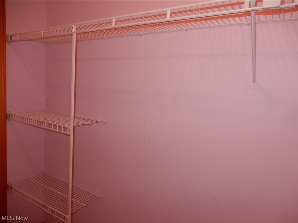 1168 Dock Road Madison, OH 44057 - Photo 27 of 35 View of spacious master closet