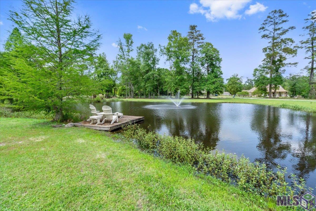 10682 Sims Road Denham Springs, LA 70706 - Photo 3 of 45 Gallery Image 3