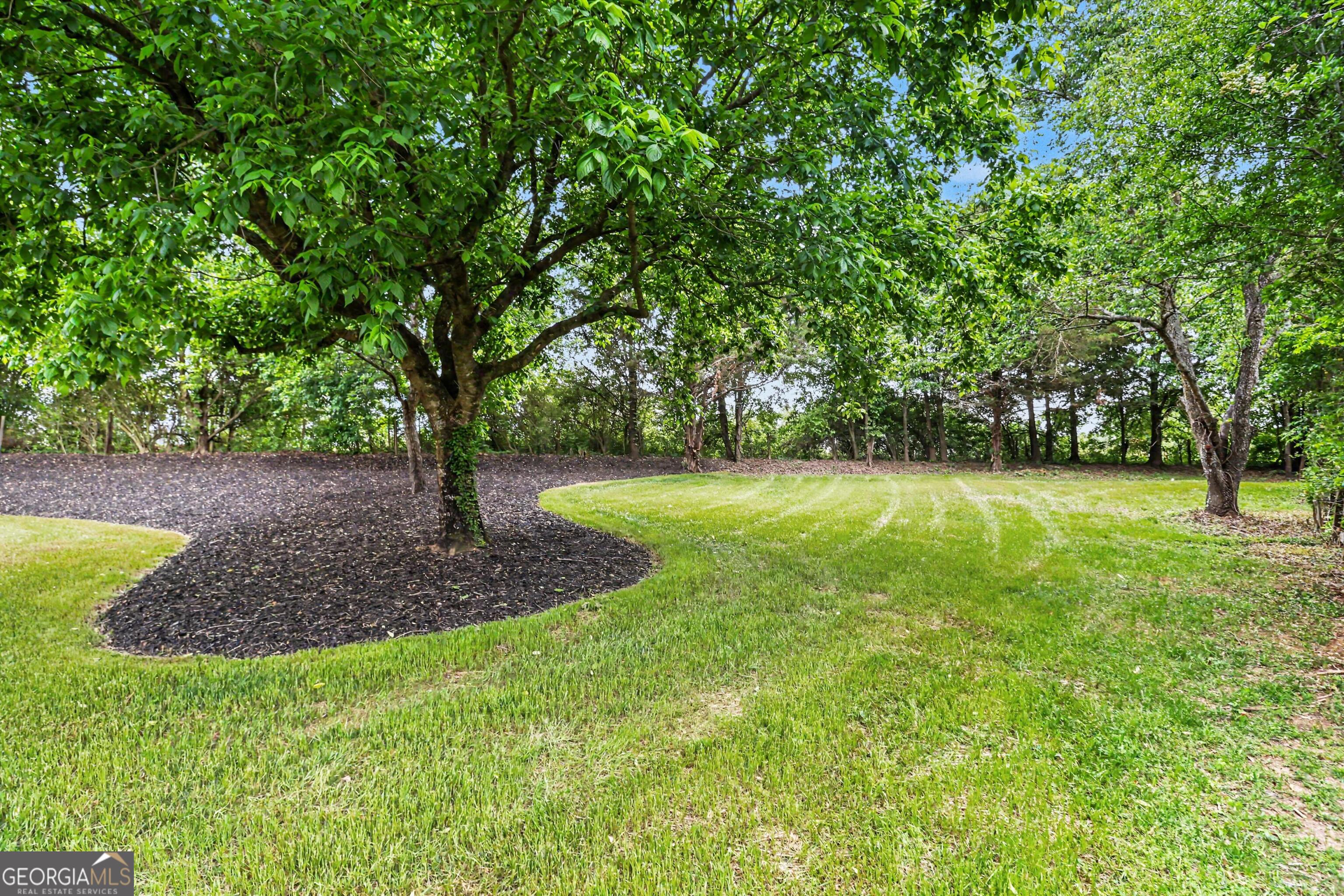 6380 Conner Road Dawsonville, GA 30534 - Photo 20 of 26 Gallery Image 20