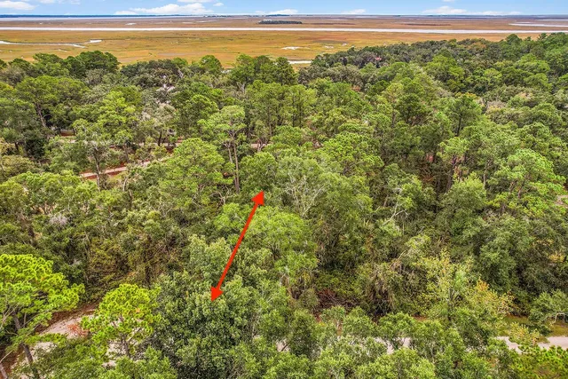 $48,000 | Lot 9 Hudson Creek, Darien, GA 31305