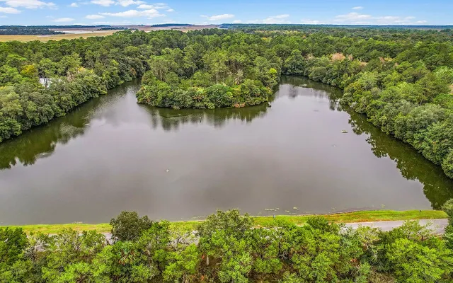 $48,000 | Lot 9 Hudson Creek, Darien, GA 31305