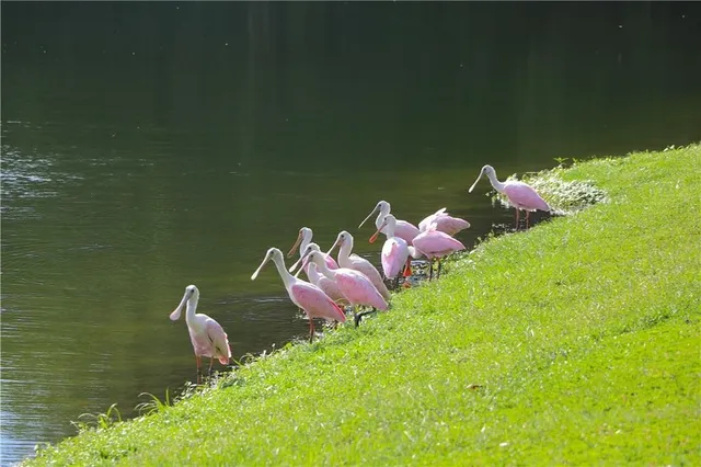 $48,000 | Lot 9 Hudson Creek, Darien, GA 31305