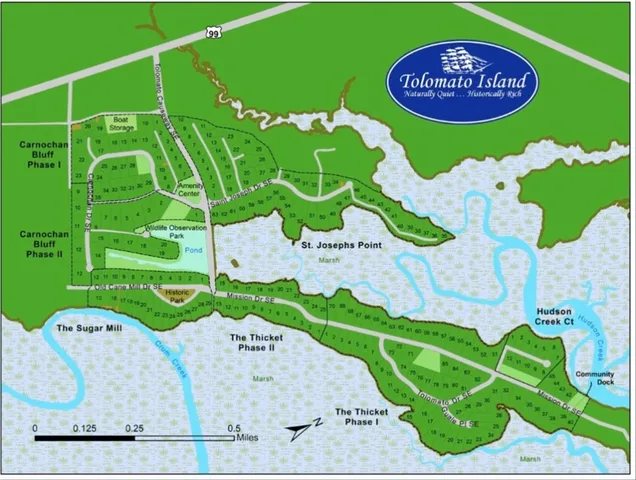 $48,000 | Lot 9 Hudson Creek, Darien, GA 31305