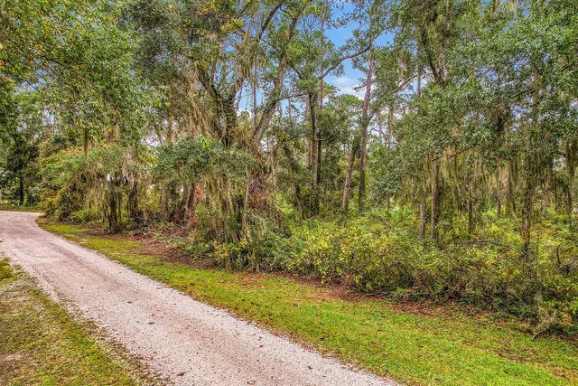 $48,000 | Lot 9 Hudson Creek, Darien, GA 31305