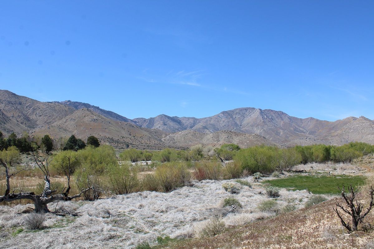 Kelso Valley Road Onyx, CA 93255 - Photo 8 of 16