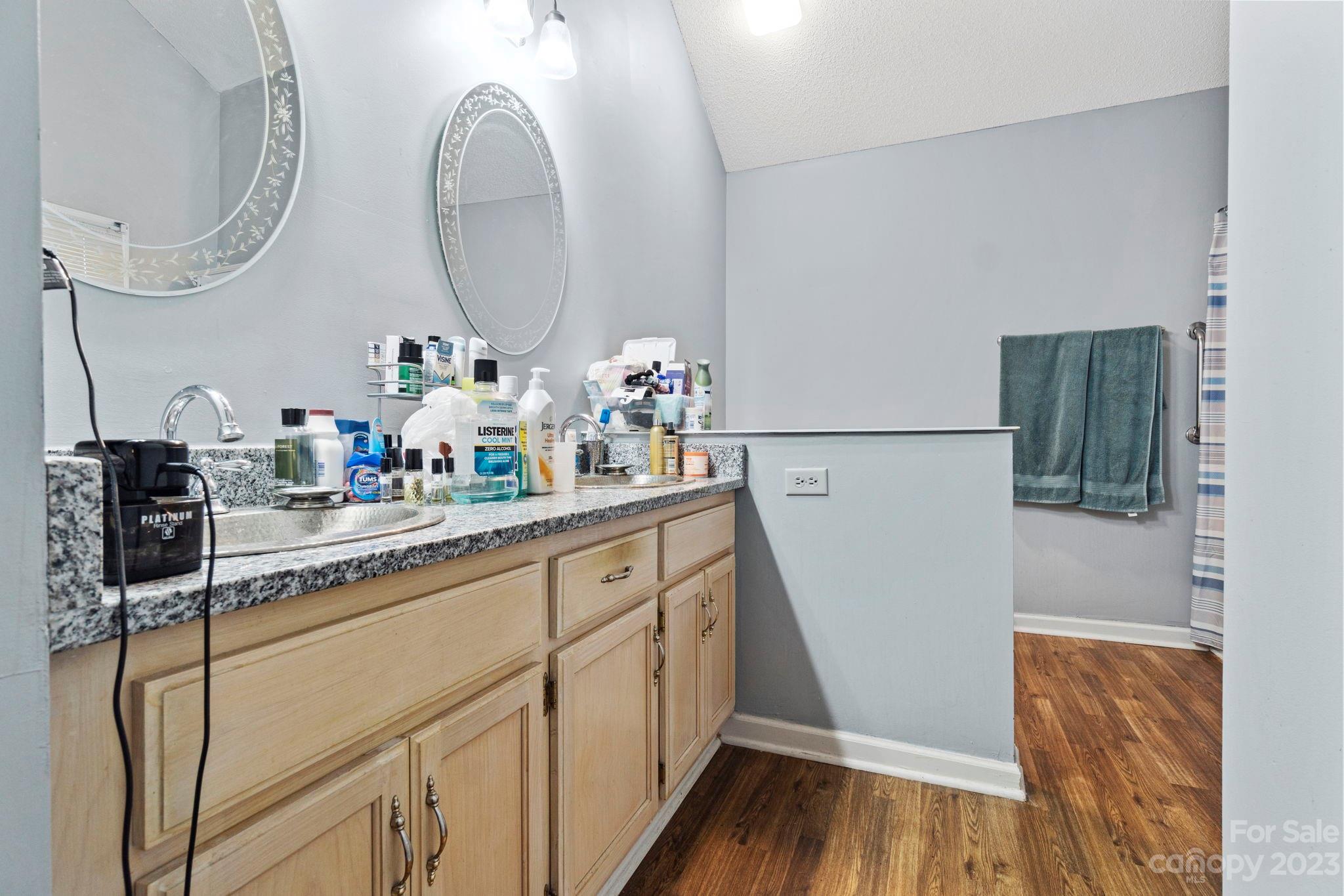 1007 Charcoal Ridge Court Matthews, NC 28105 - Photo 10 of 16 a bathroom with a sink and a mirror
