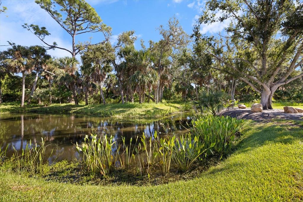 447 Oak Point Road Osprey, FL 34229 - Photo 78 of 99 Gallery Image 78