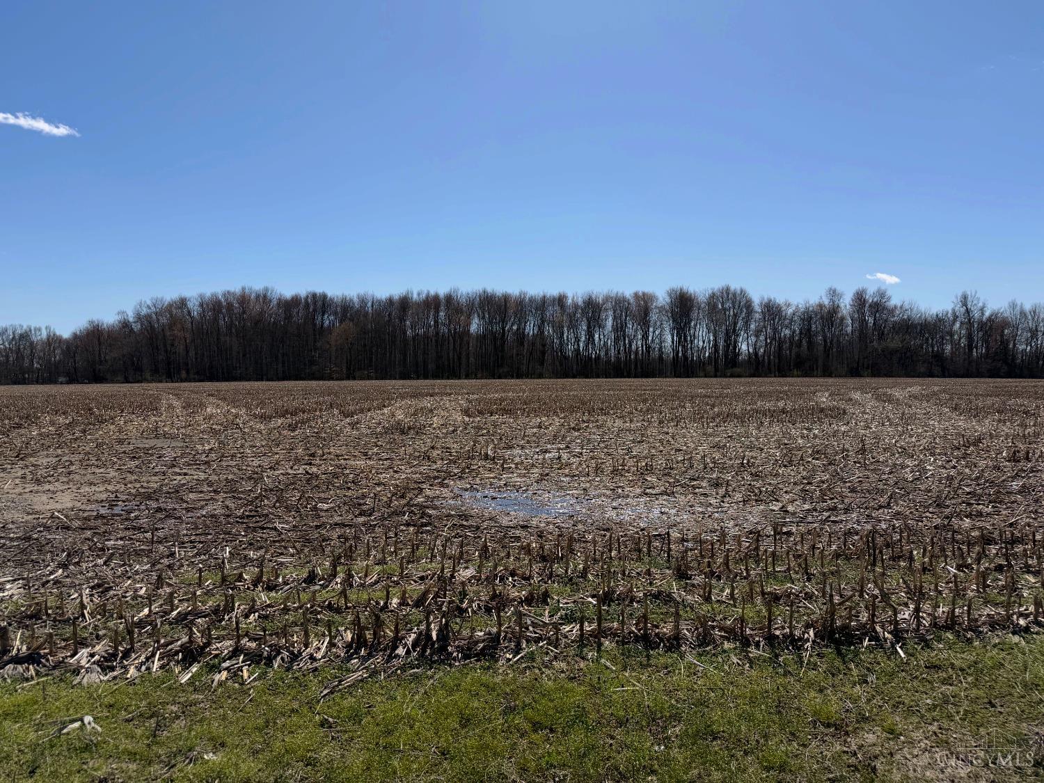 0 Mount Olive Point Isabel Road Bethel, OH 45106 - Photo 4 of 5