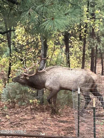 $1,070,000 | 2311 South Sierra Park Trail, Show Low, AZ 85901