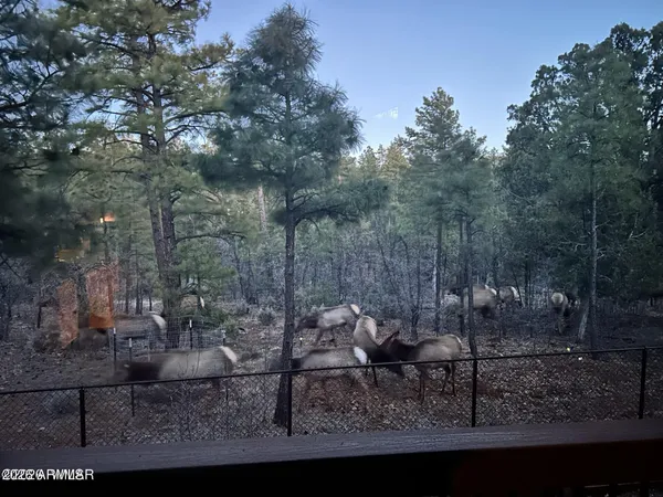 $1,070,000 | 2311 South Sierra Park Trail, Show Low, AZ 85901