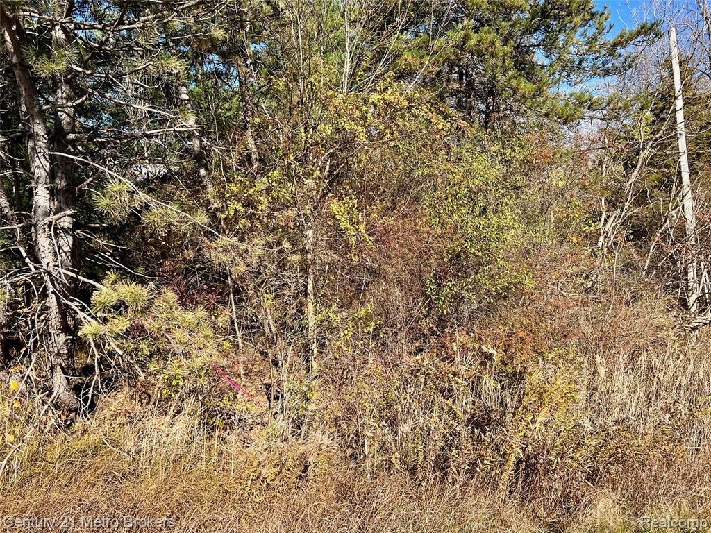 0 North Corunna Road Flint, MI 48473 - Photo 2 of 3