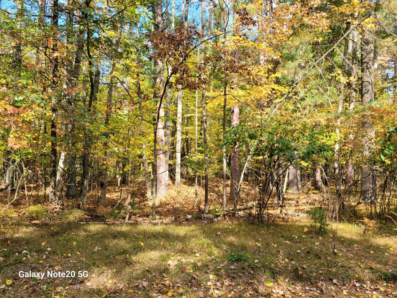 Lot #90 Eagle Pines Road Eagle River, WI 54521 - Photo 4 of 20 Gallery Image 4