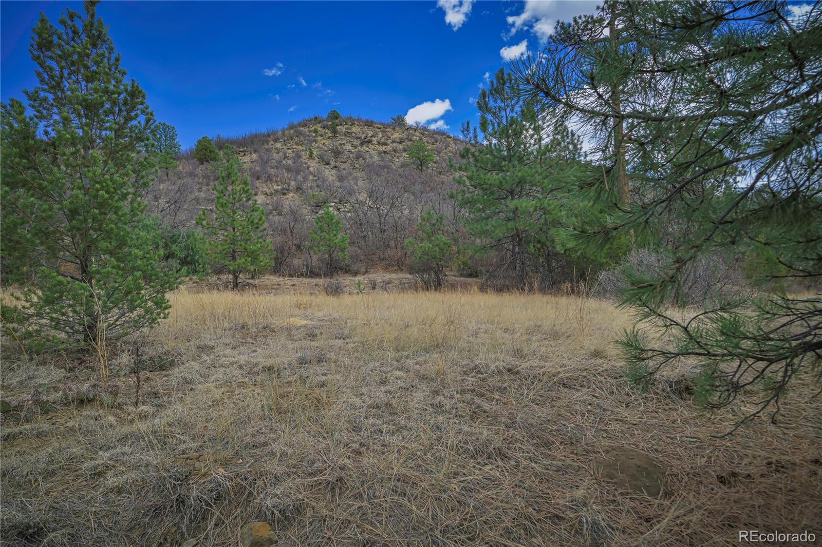Primero Ranch Weston, CO 81091 - Photo 24 of 37 a view of a dry yard with trees