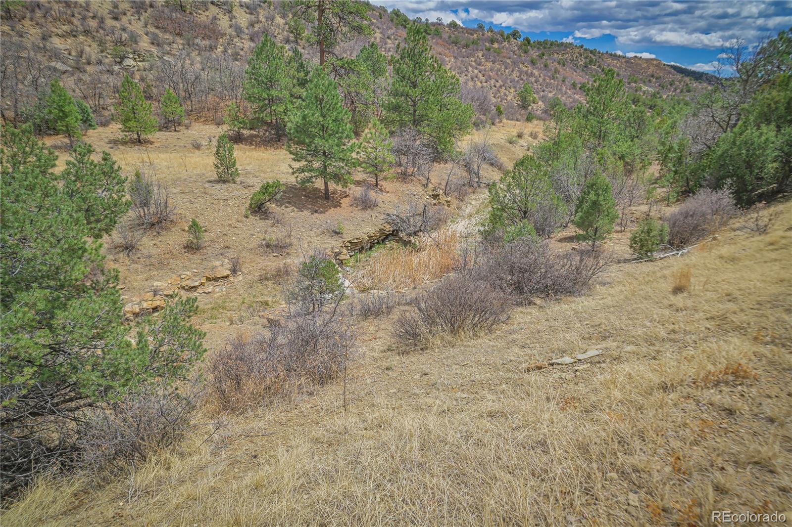 Primero Ranch Weston, CO 81091 - Photo 4 of 37 a view of a yard with trees in the background