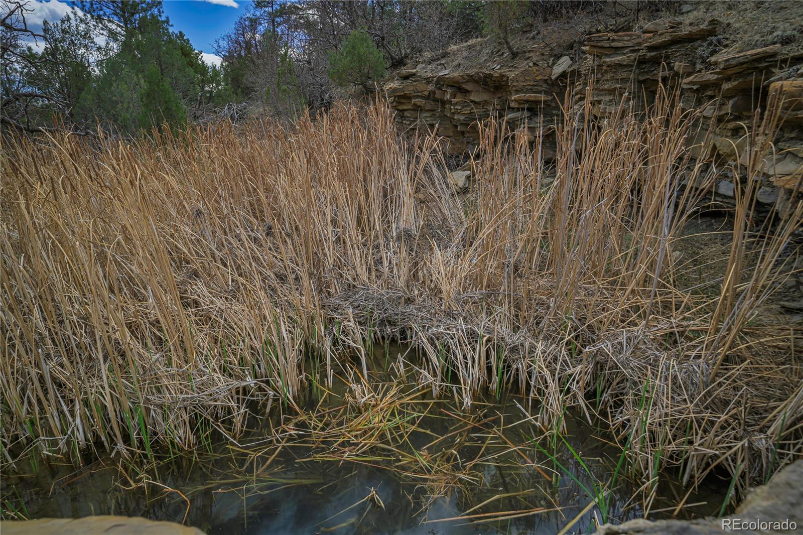 Primero Ranch Weston, CO 81091 - Photo 6 of 37