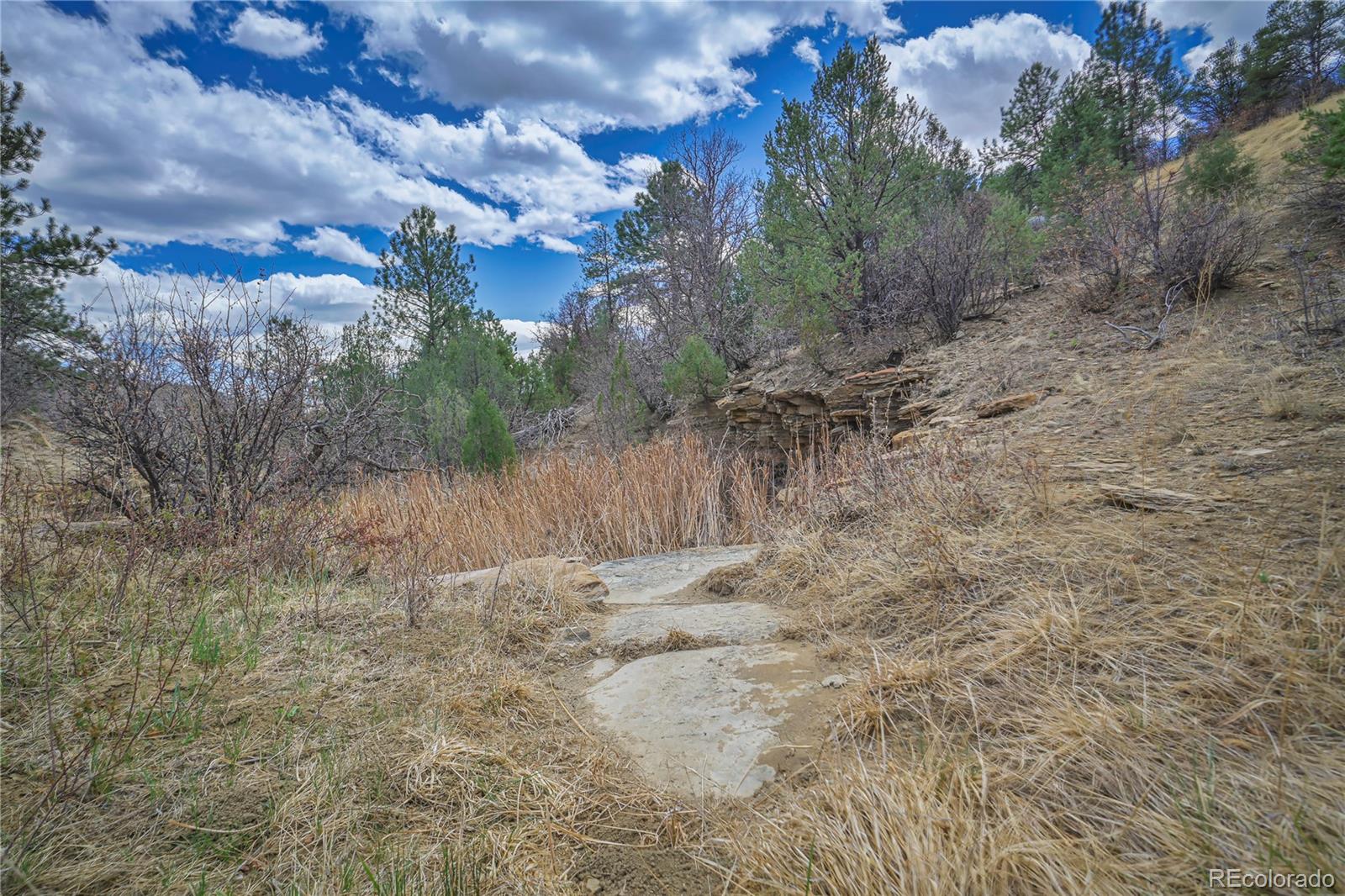 Primero Ranch Weston, CO 81091 - Photo 9 of 37 a view of a dry yard with trees in the background