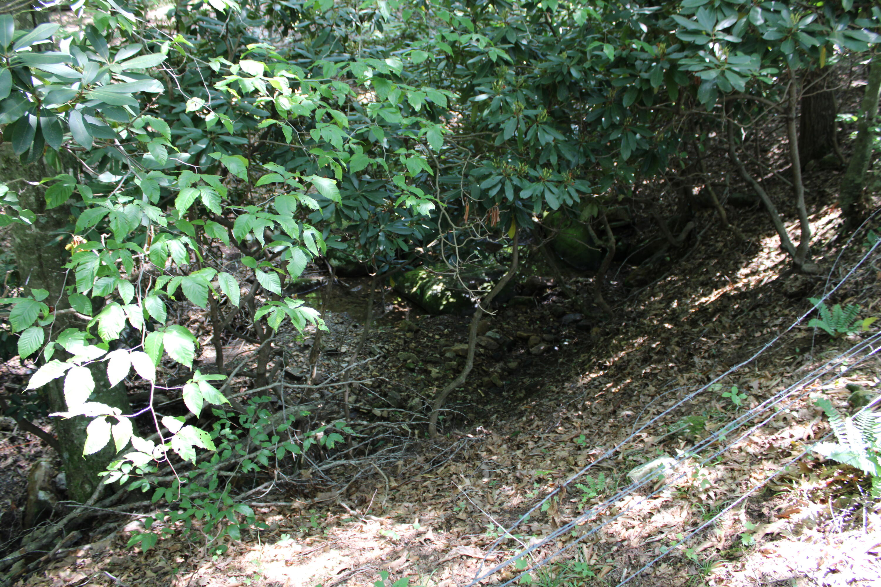 2816 Johns Creek Road New Castle, VA 24127 - Photo 59 of 96 IMG_0094