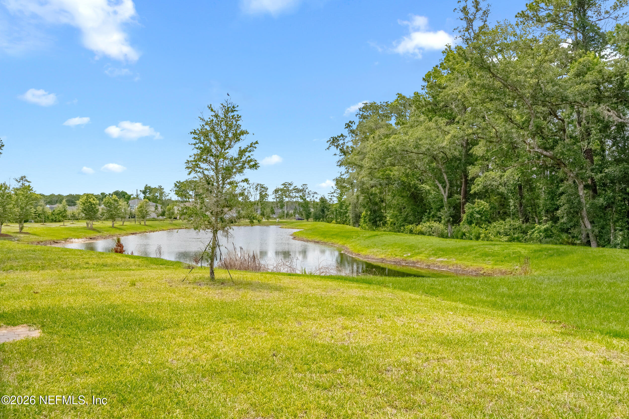 35 White Rabbit Run St. Augustine, FL 32092 - Photo 31 of 48 backyard