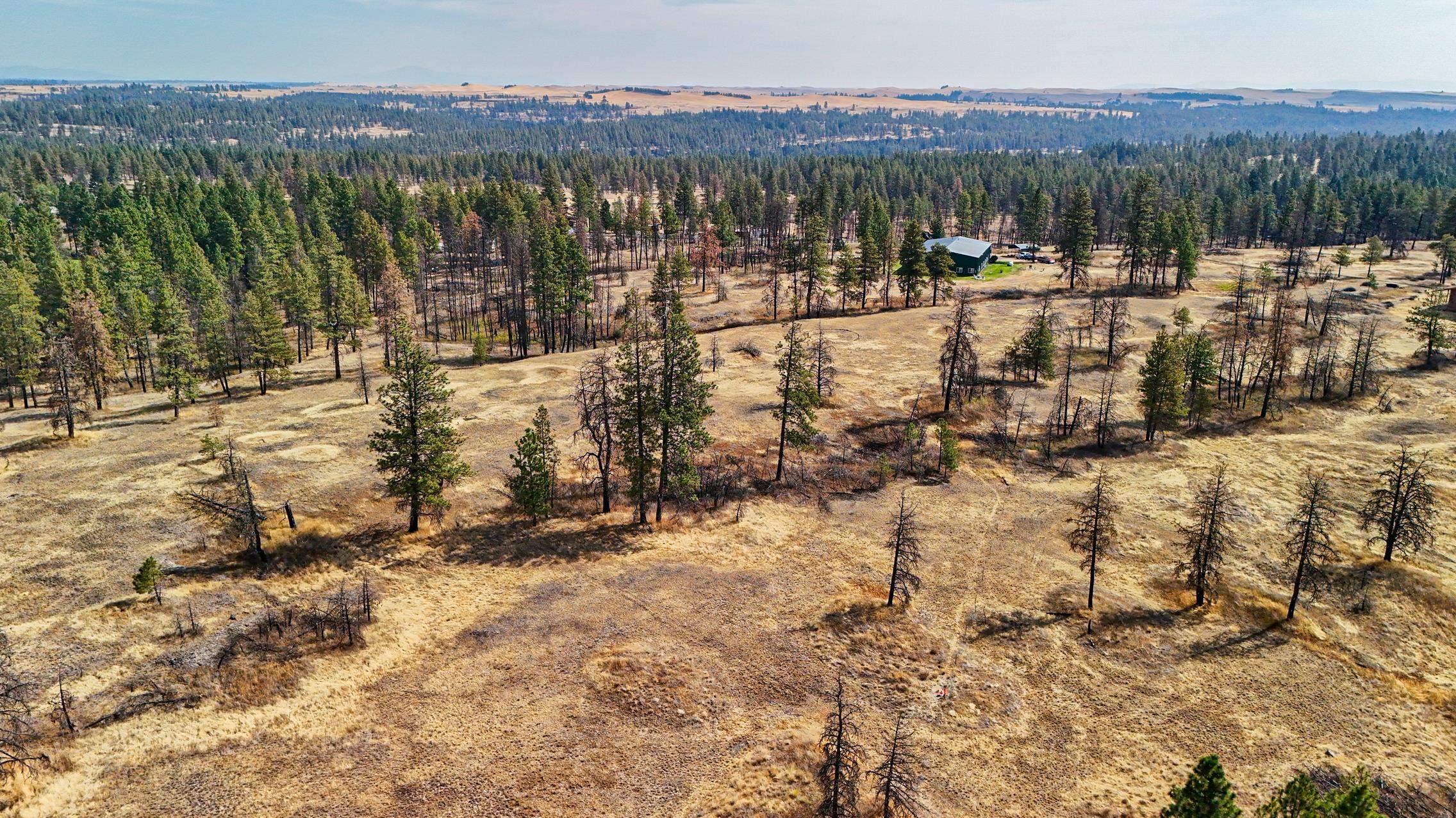 35210 South Long Road Cheney, WA 99004 - Photo 42 of 44