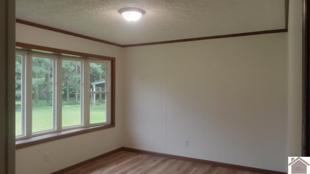 824 County Farm Road Wickliffe, KY 42087 - Photo 17 of 19 Photo 17